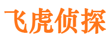 新市市侦探公司